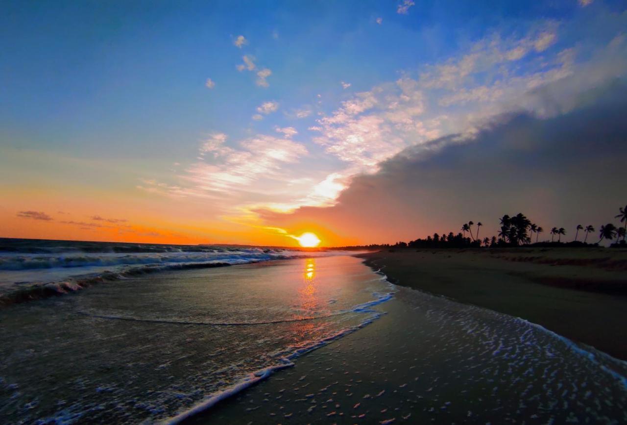 Sleeping Elephant Beach Resort 坦加拉 外观 照片
