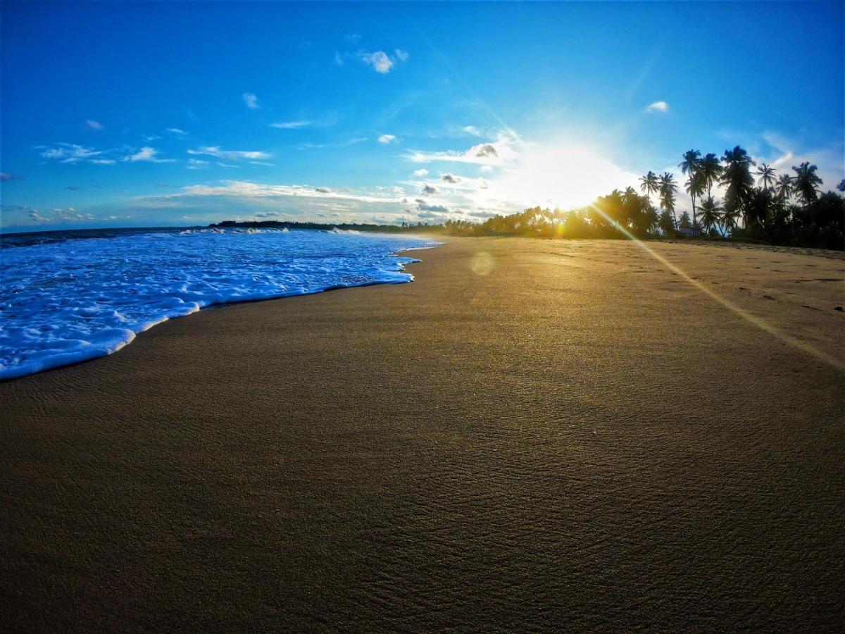 Sleeping Elephant Beach Resort 坦加拉 外观 照片