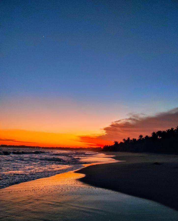 Sleeping Elephant Beach Resort 坦加拉 外观 照片