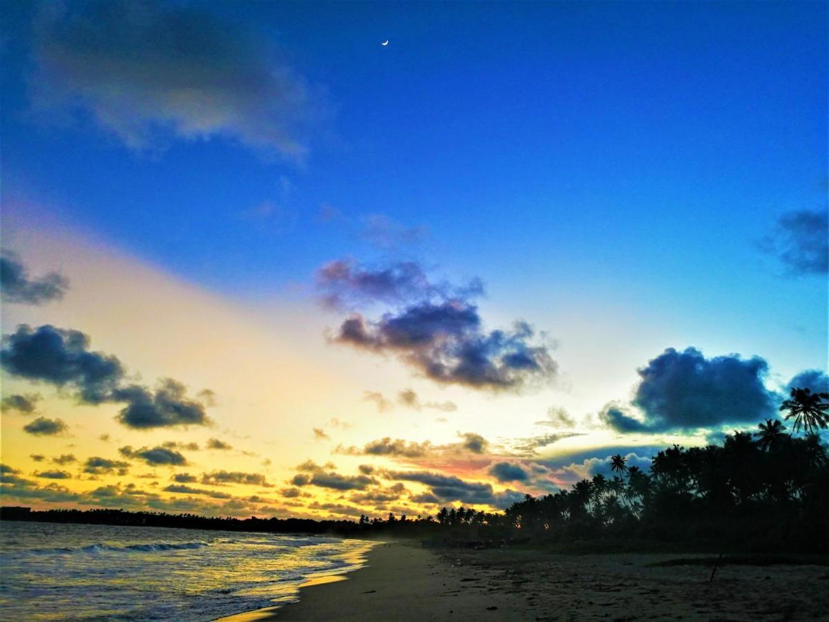 Sleeping Elephant Beach Resort 坦加拉 外观 照片