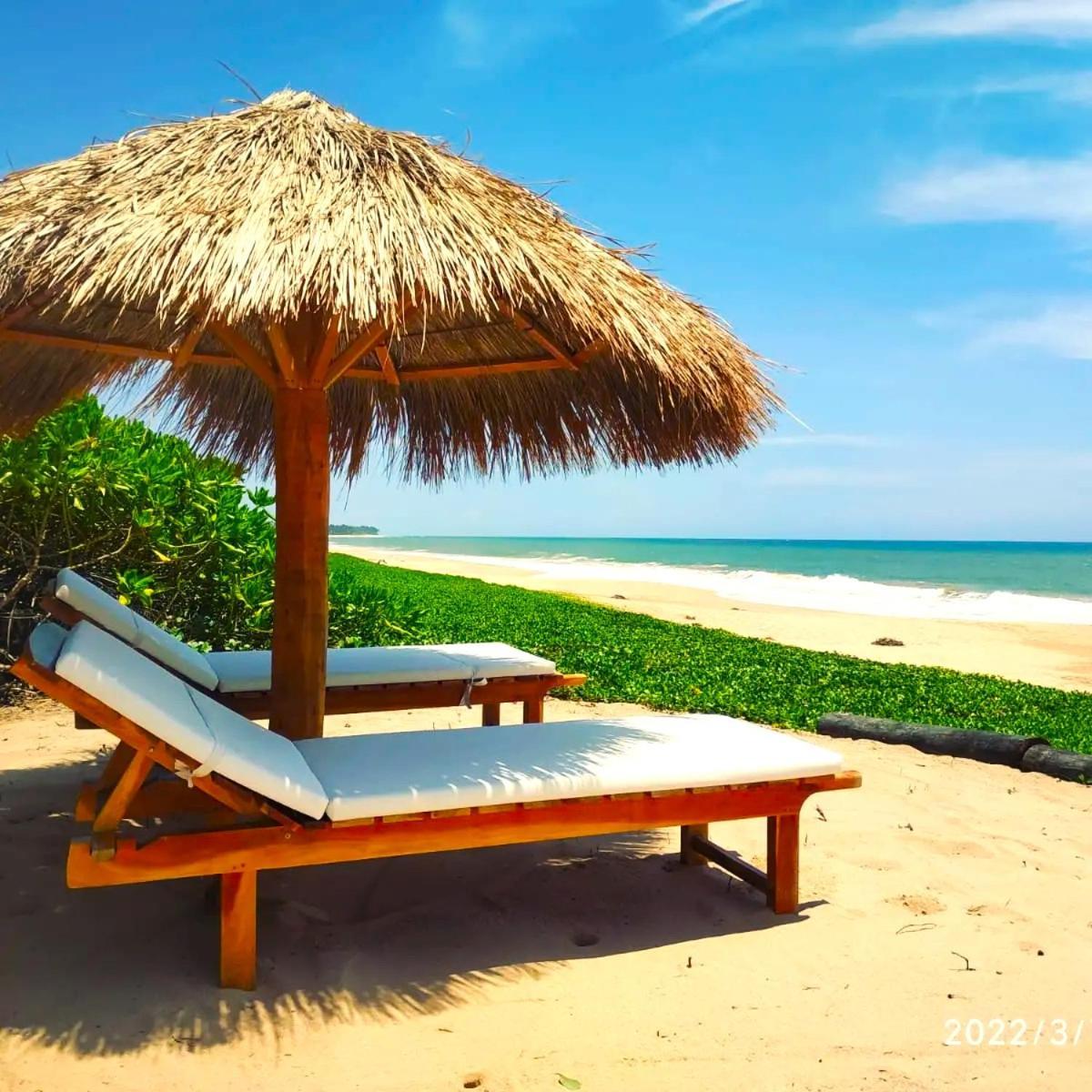 Sleeping Elephant Beach Resort 坦加拉 外观 照片