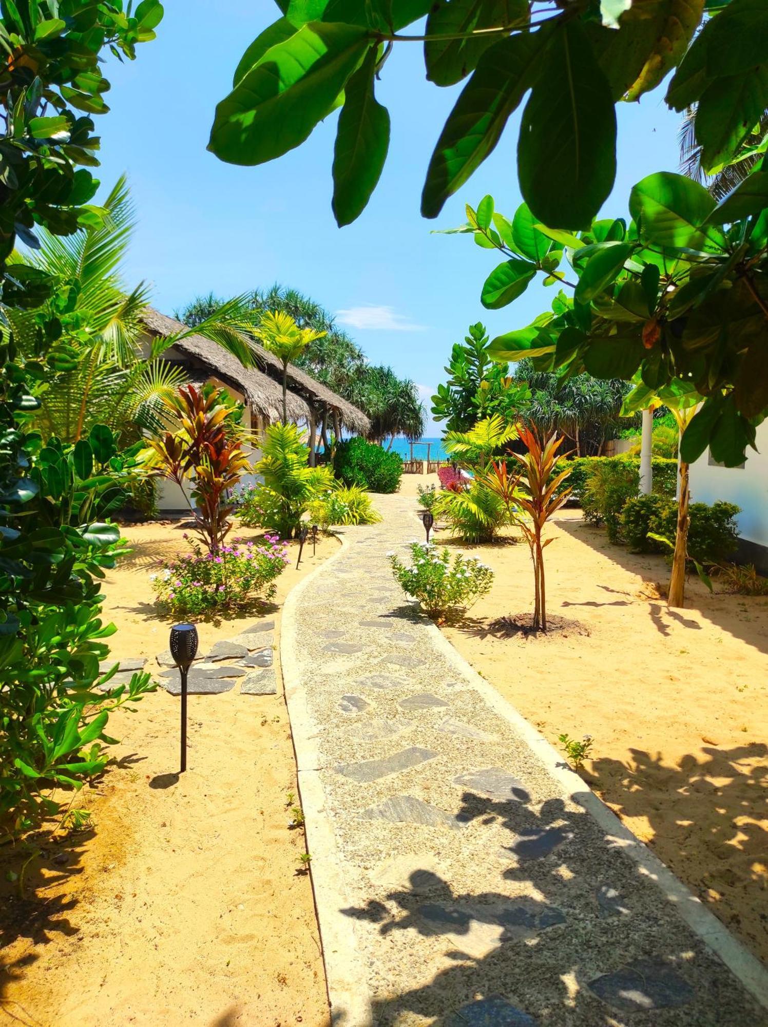 Sleeping Elephant Beach Resort 坦加拉 外观 照片