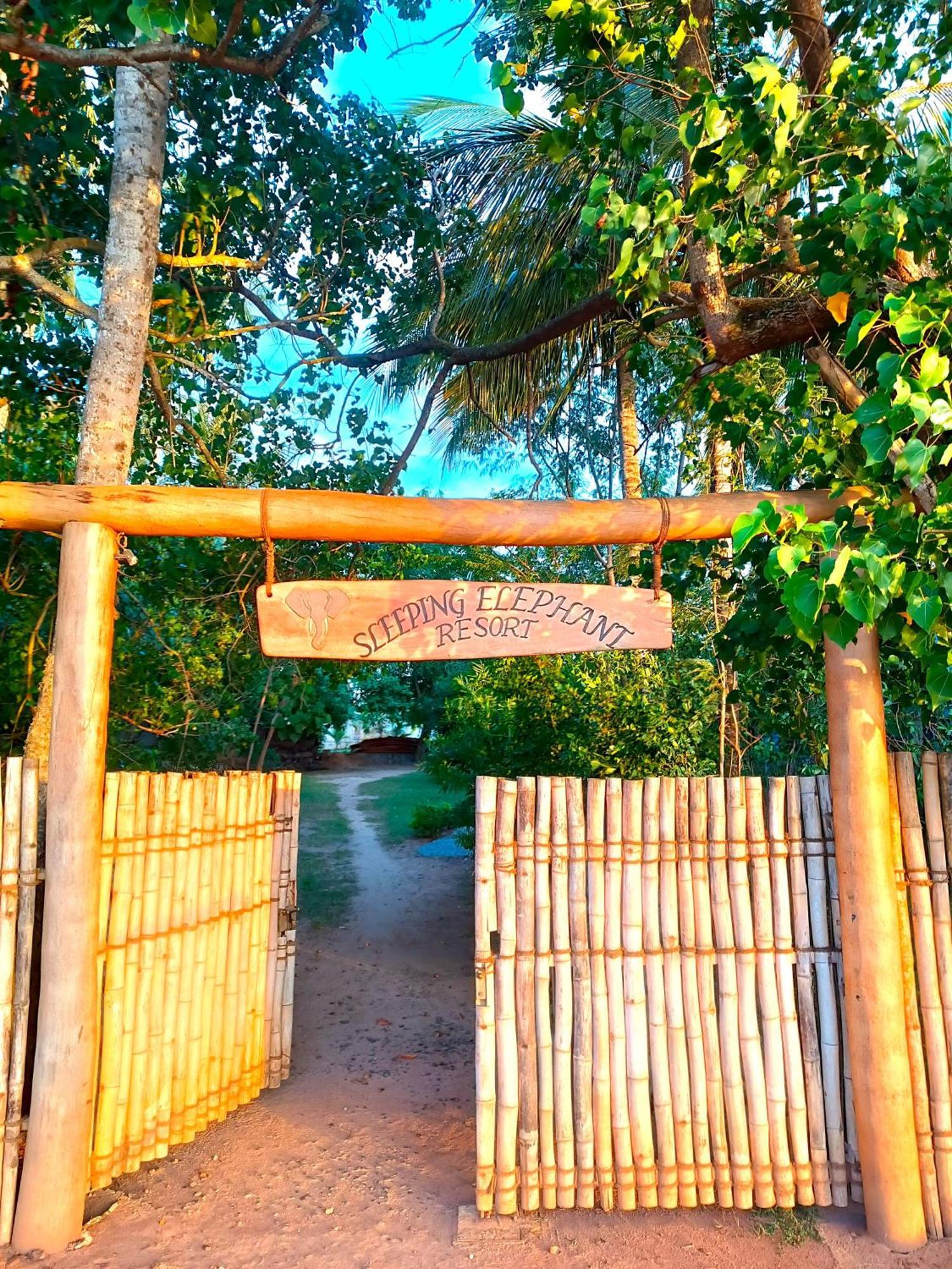 Sleeping Elephant Beach Resort 坦加拉 外观 照片